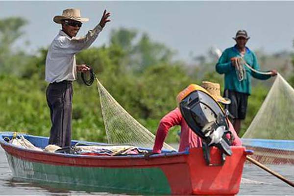La Autoridad Nacional de Acuicultura y Pesca, AUNAP, busca fortalecer al gremio pesquero de la Ciénaga Grande de Santa Marta