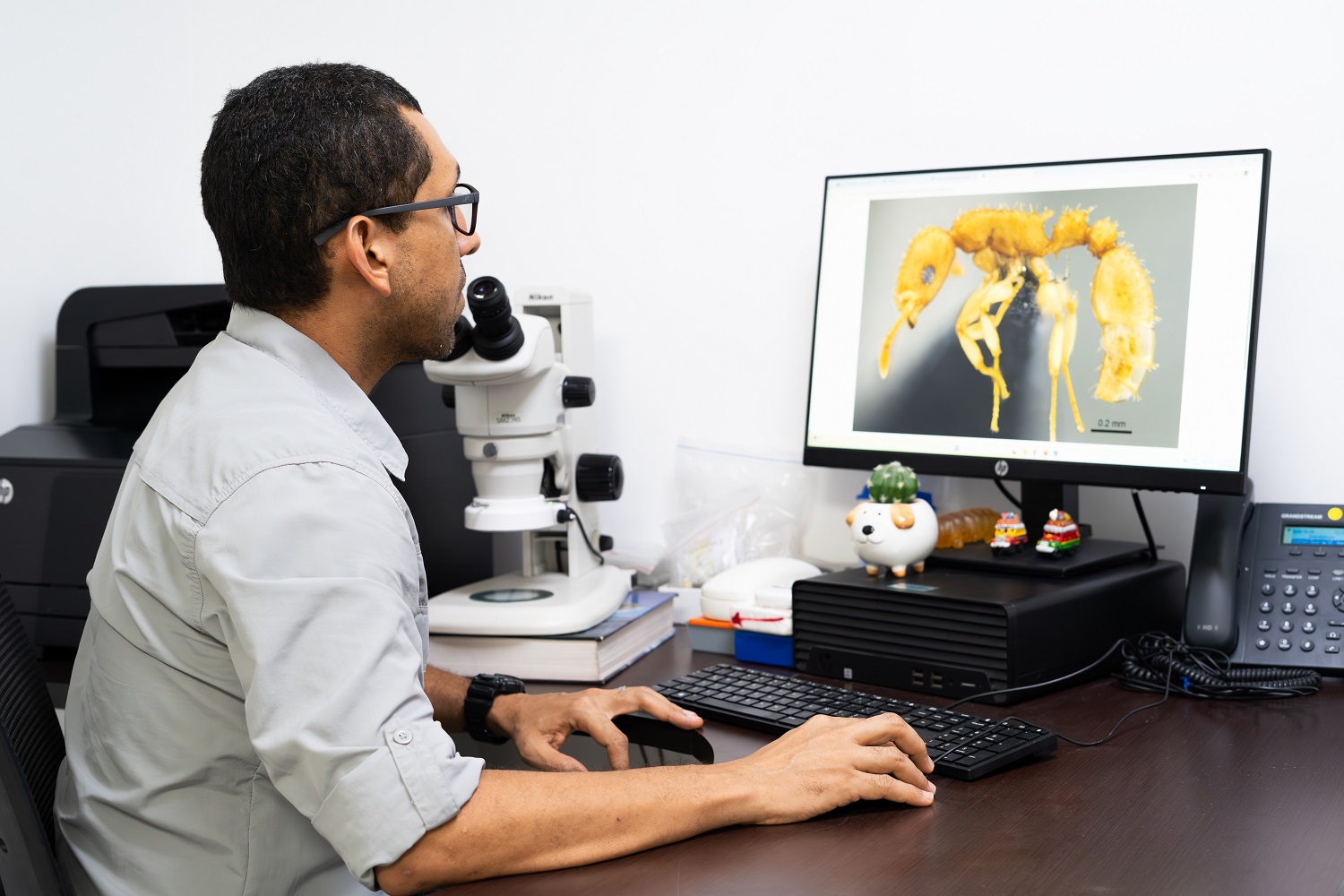 UNIMAGDALENA, primera institución colombiana en integrar la red digital mundial - AntWeb