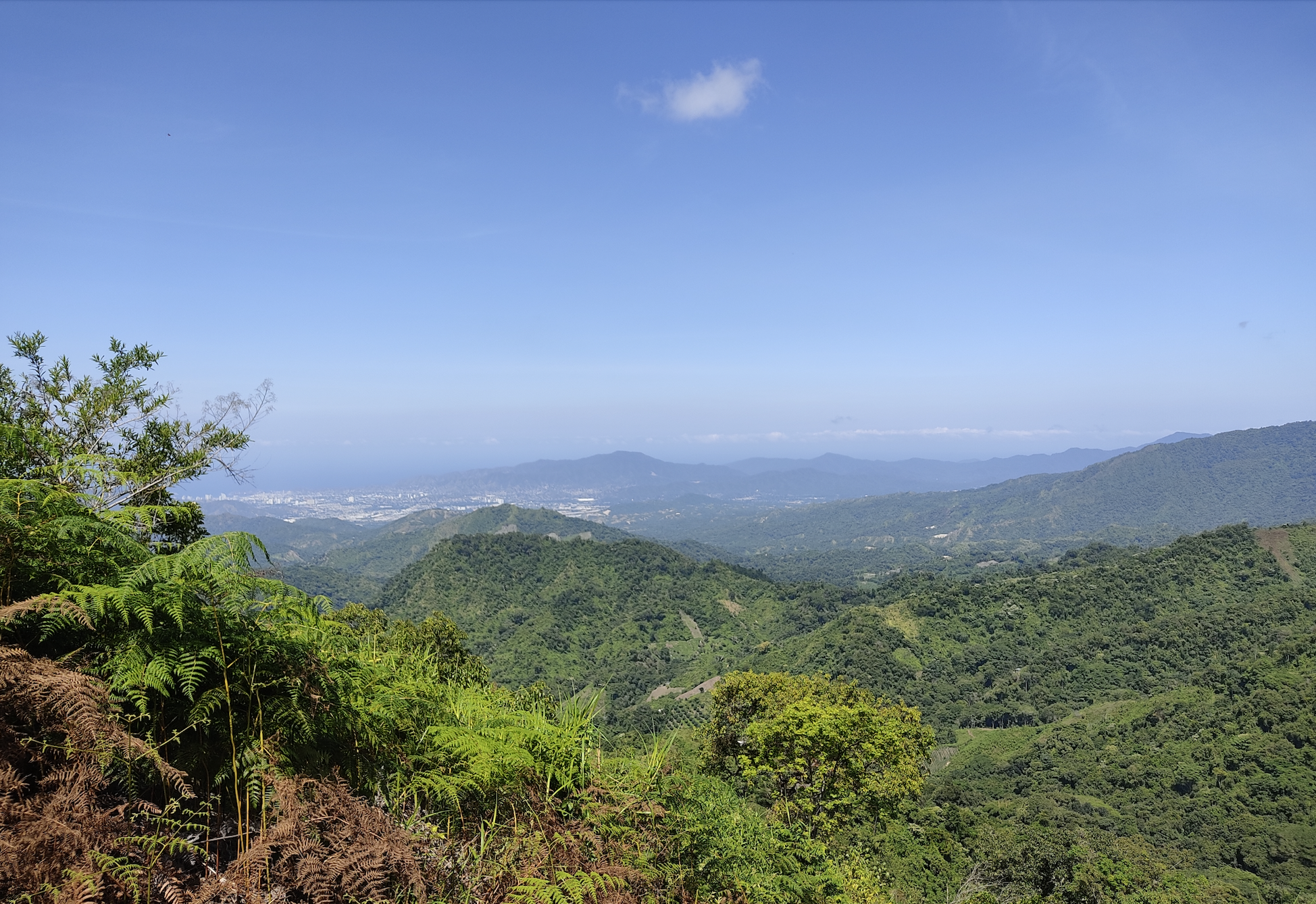 Sólo una de 26 masacres ocurridas en Colombia en lo corrido de este año 2.026, se ha registrado en la Sierra Nevada