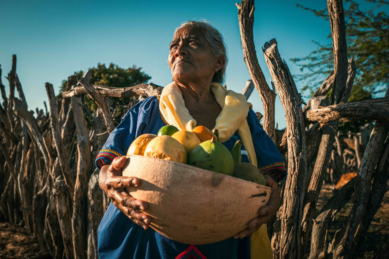 Mes Internacional de la Mujer: Más de 7.000 mujeres rurales han fortalecido su liderazgo y contribuido a transformar sus comunidades en Colombia