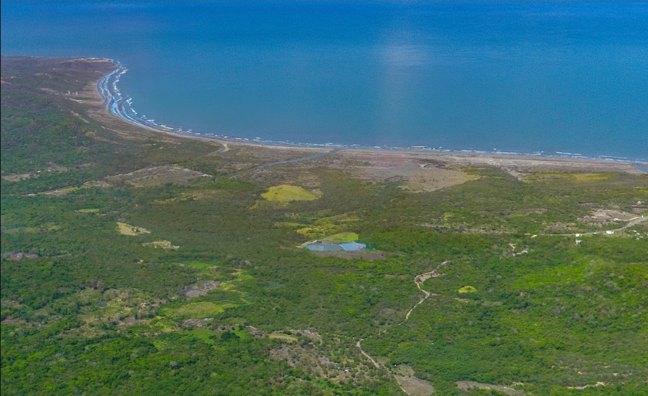 Desde el cielo al mercado: lagos de Altamira, uno de los terrenos más grandes del Caribe Colombiano, entra en subasta