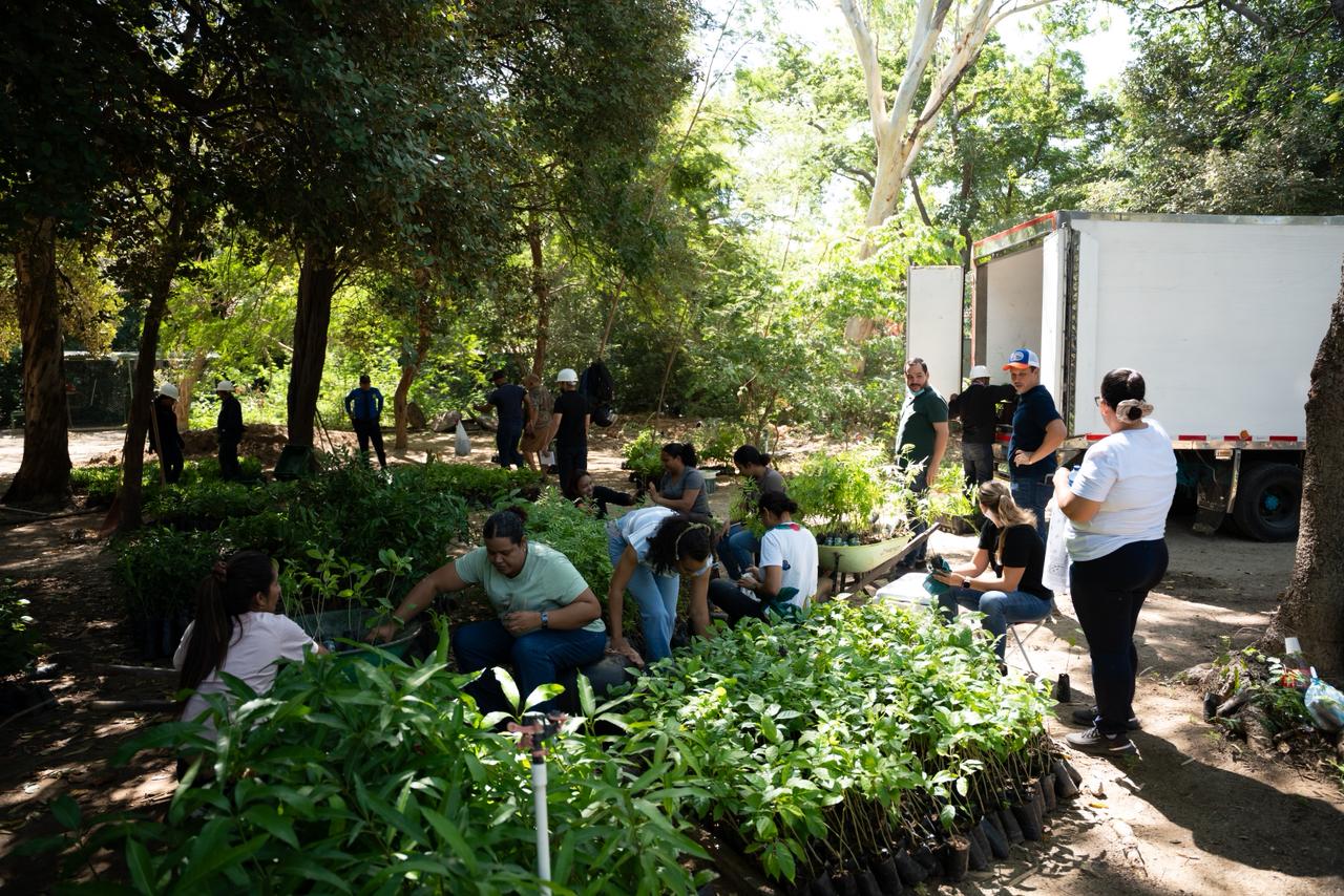 CORPAMAG y la Diòcesis de Santa Marta se unen para la protecciòn de la palma de cera