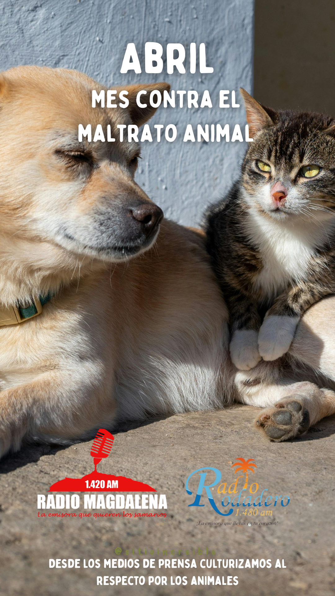 Abril: Mes contra el maltrato animal, una oportunidad para que las ciudades del país pasen del discurso a la acción