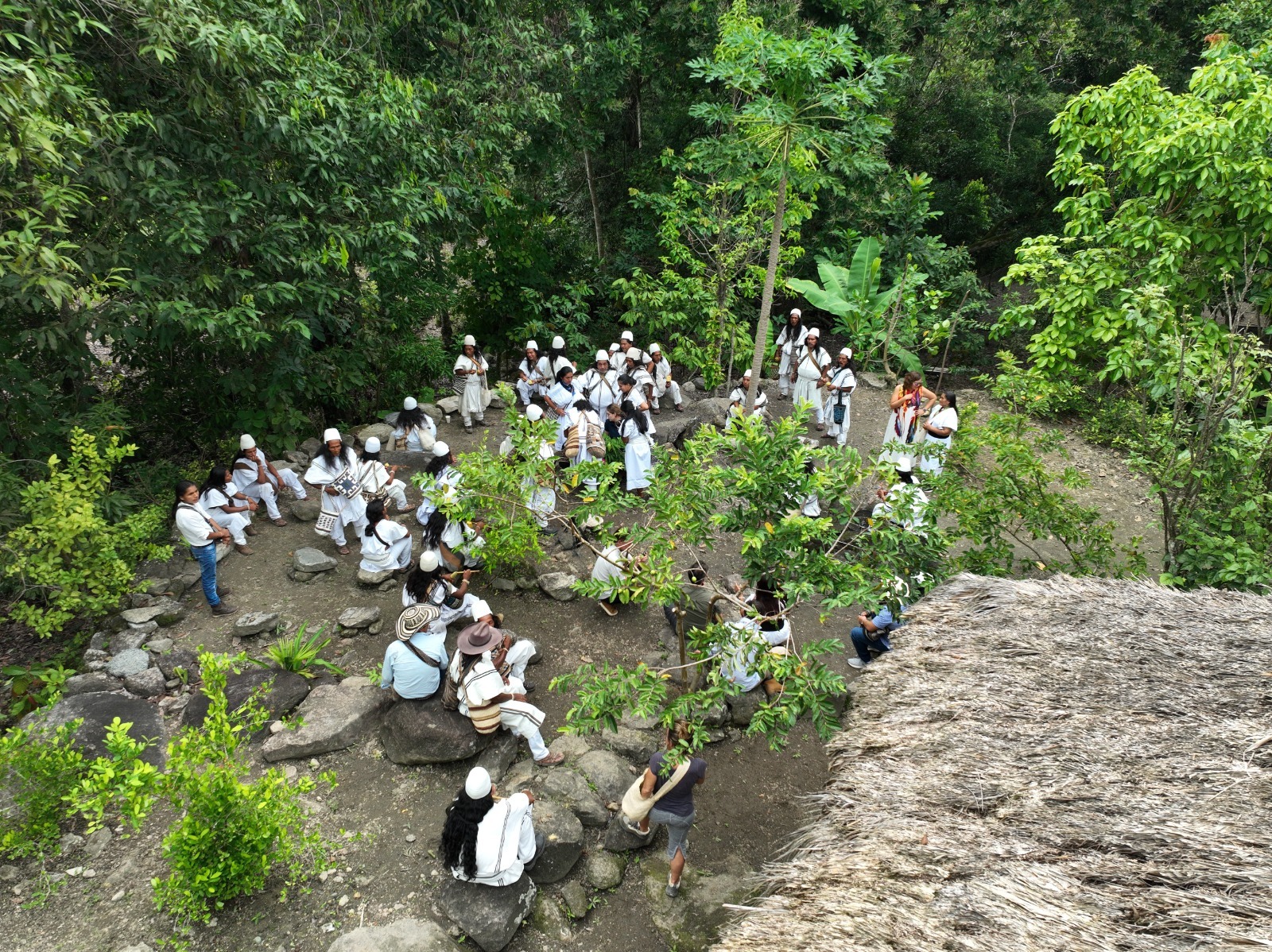 ‘Bosques Sagrados’, el camino de conservación en la Sierra Nevada liderado por el pueblo Arhuaco