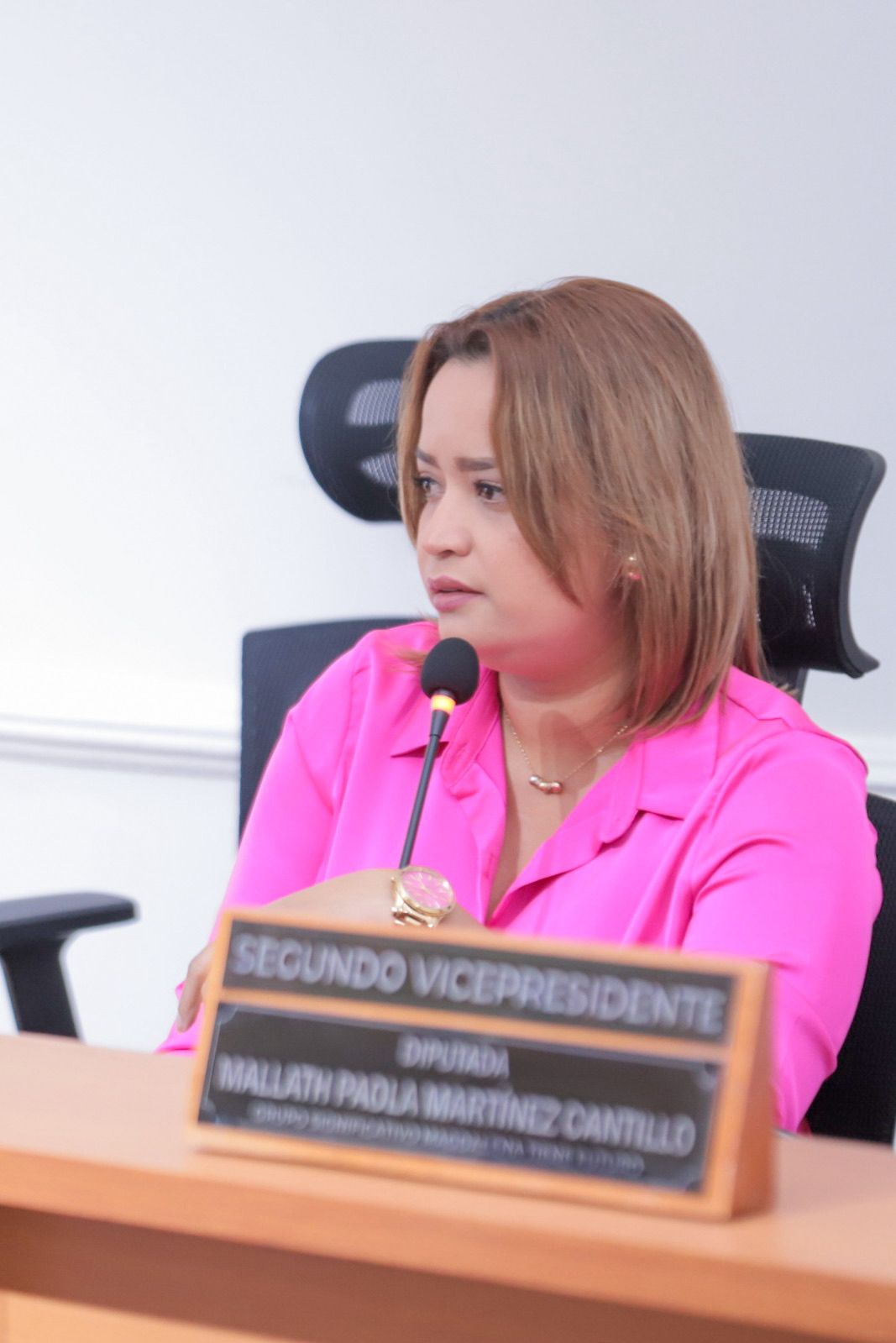 Tras atentado armado, diputada Rosa Jiménez pide protección real y acciones eficaces