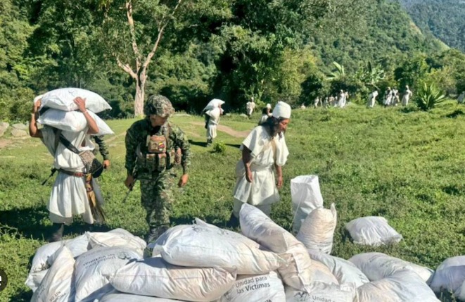 Más de 2.500 indígenas han recibido ayudas tras afectaciones por el conflicto en zona rural del municipio de Aracataca