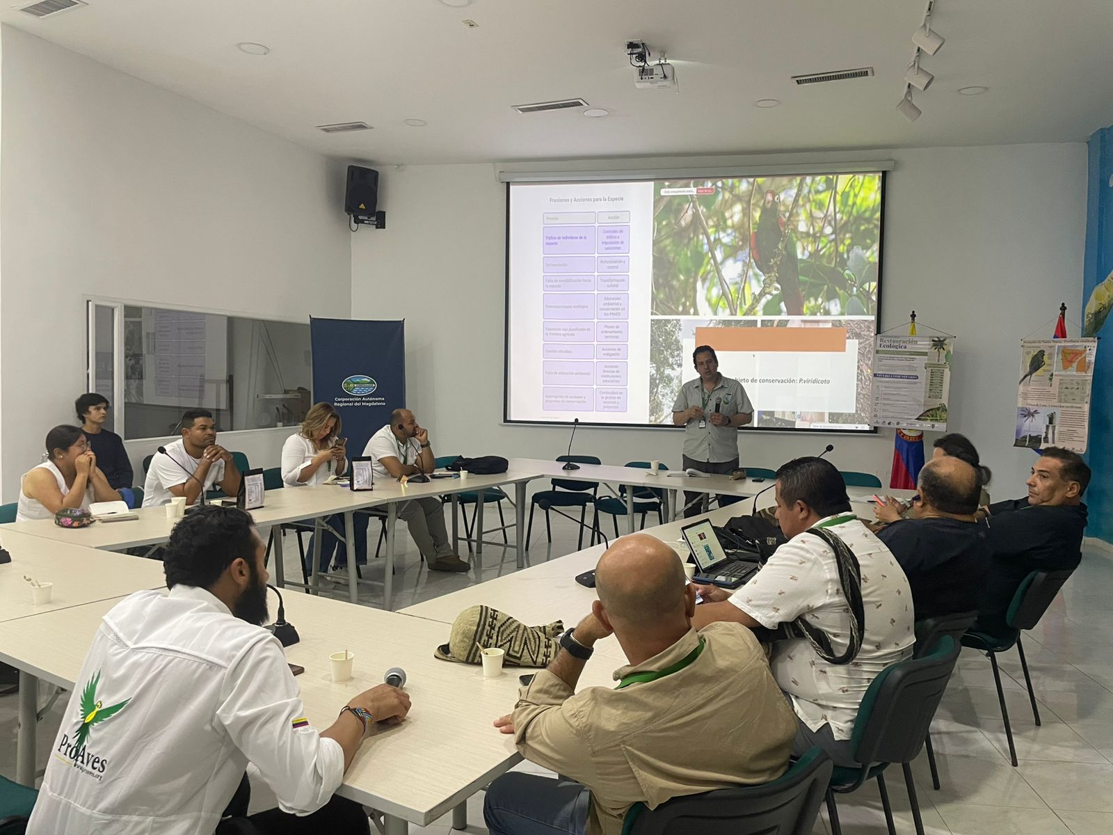CORPAMAG y PROCAT trabajan en la construcción del Plan de Manejo para la Conservación de La Lora Serrana, especie endémica de la Sierra Nevada de Santa Marta
