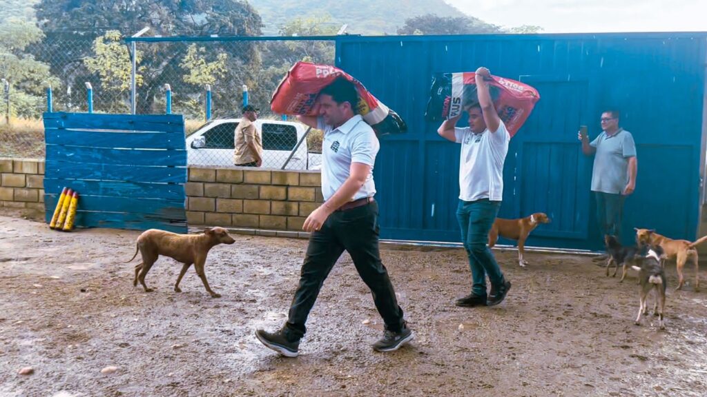 Alcaldía de Santa Marta da a conocer que fortalece su política de bienestar animal con alimento para perros y gatos