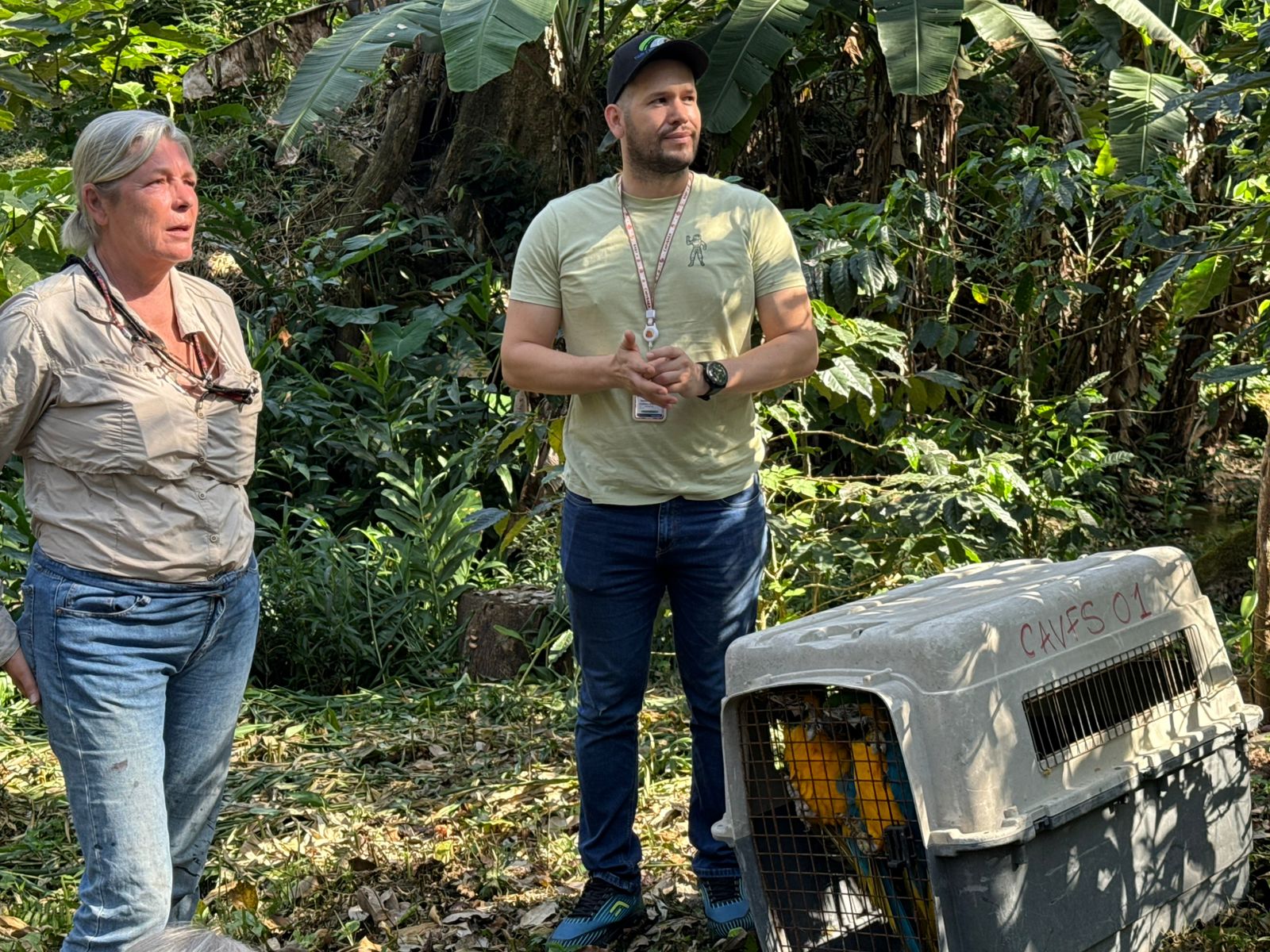 CORPAMAG realiza liberaciòn blanda de aves vìctimas del tràfico y la tenencia ilegal