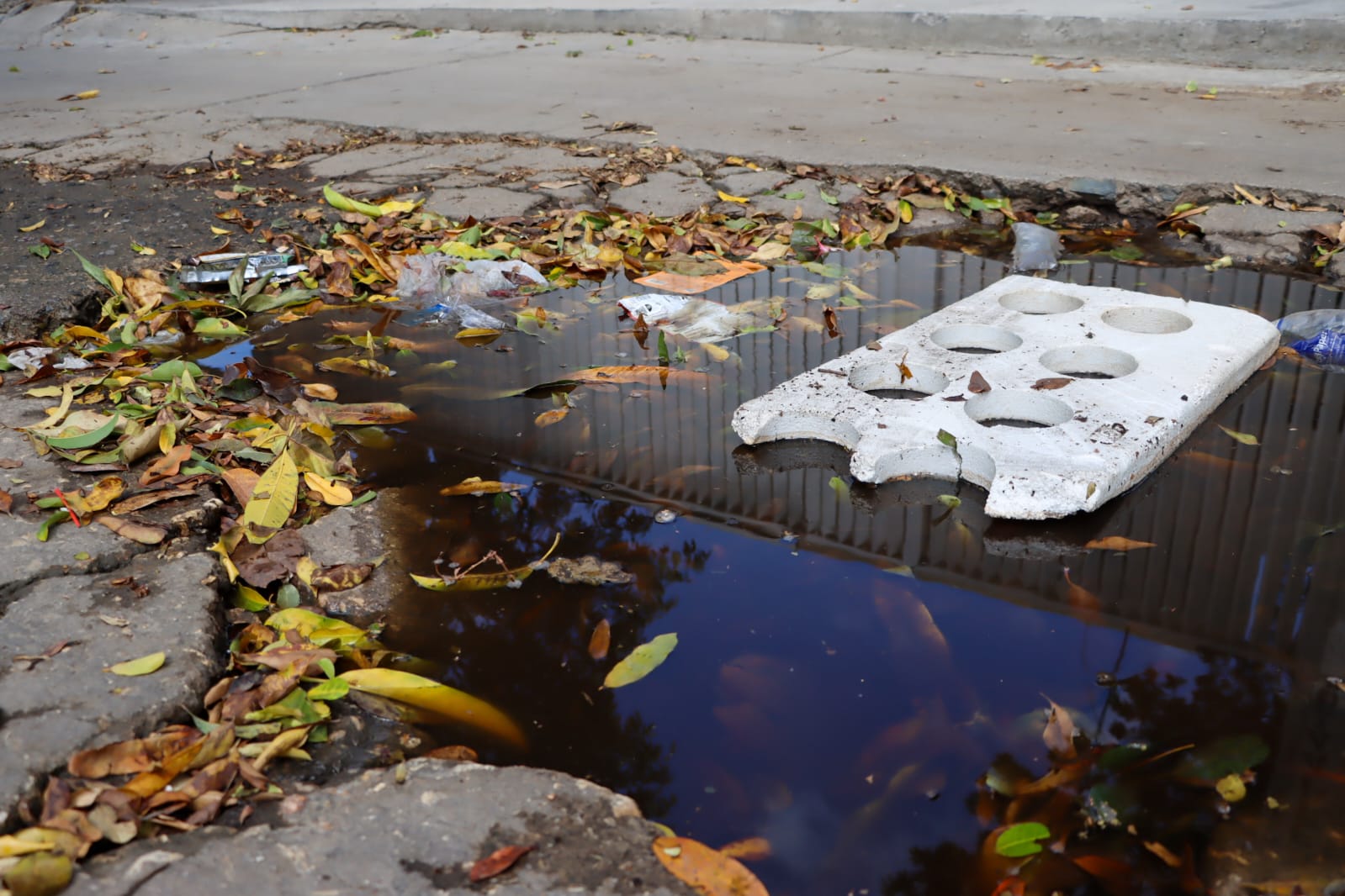 Personería de Santa Marta reclama al Ministerio de Salud vacunación urgente contra el dengue ante aumento alarmante de casos