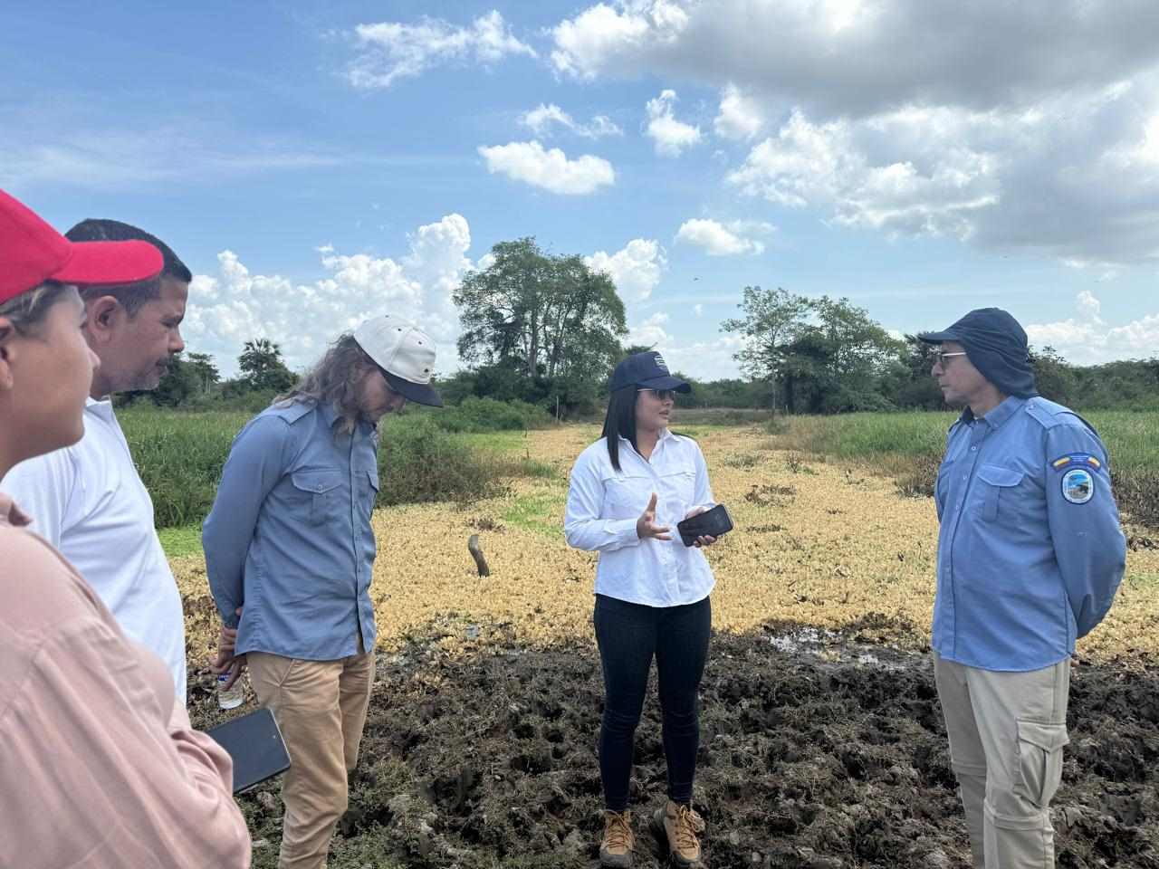 CORPAMAG lidera recorrido tècnico en los caños Renegado y Condazo para impulsar la recuperaaciòn hidràulica de la Ciènaga Grande