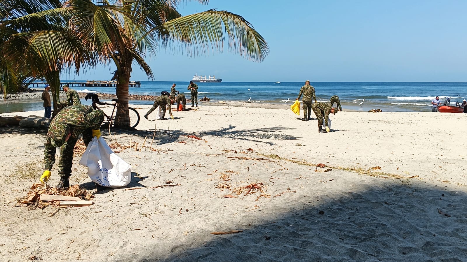 Alcaldía de Santa Marta recupera la playa Los Cocos tras retirar más de 2.300 metros cúbicos de residuos