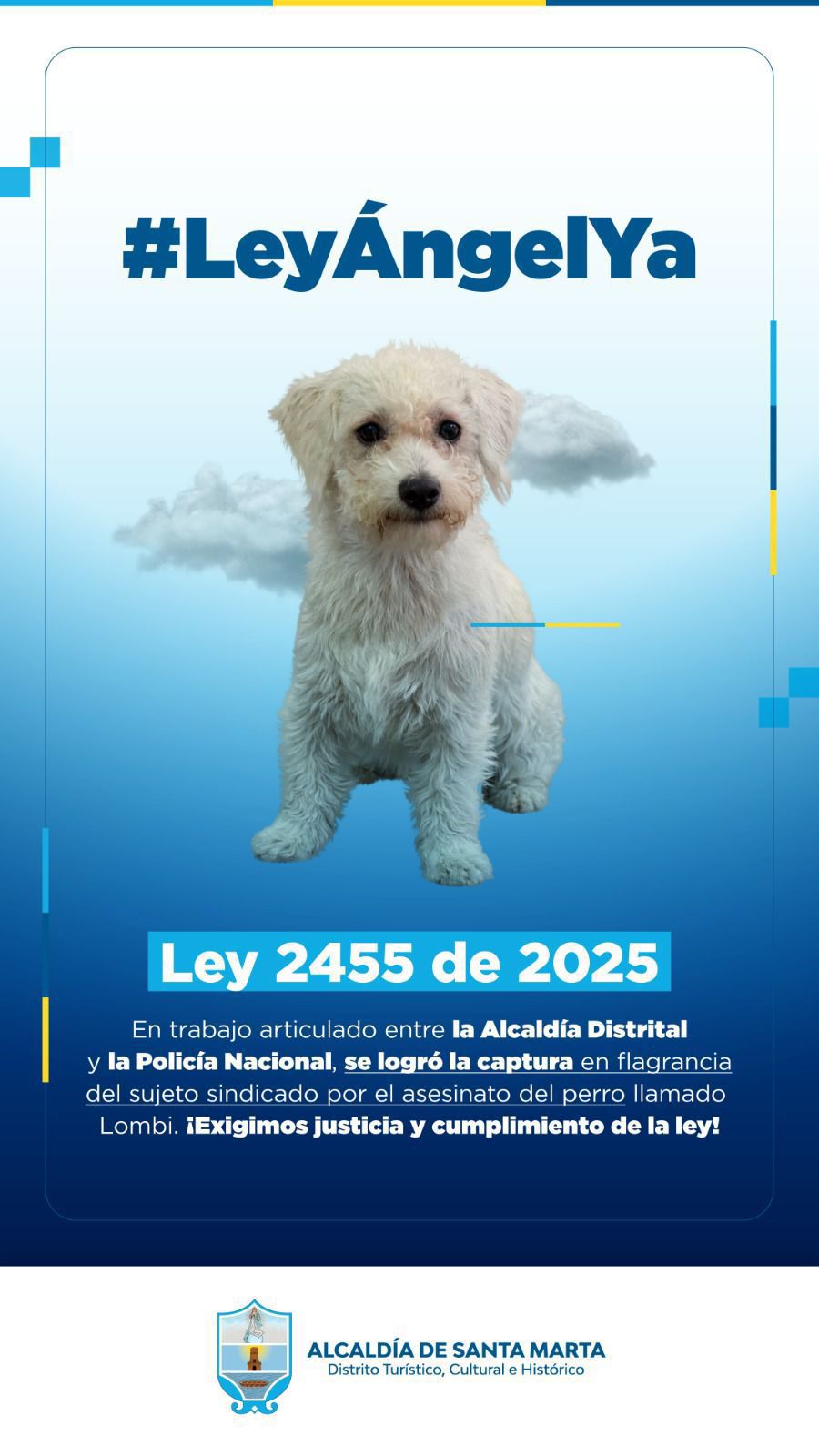 Articulación entre Alcaldía y Policía permite captura en flagrancia de la persona señalada de dar muerte a un animal en Villas de Alejandría